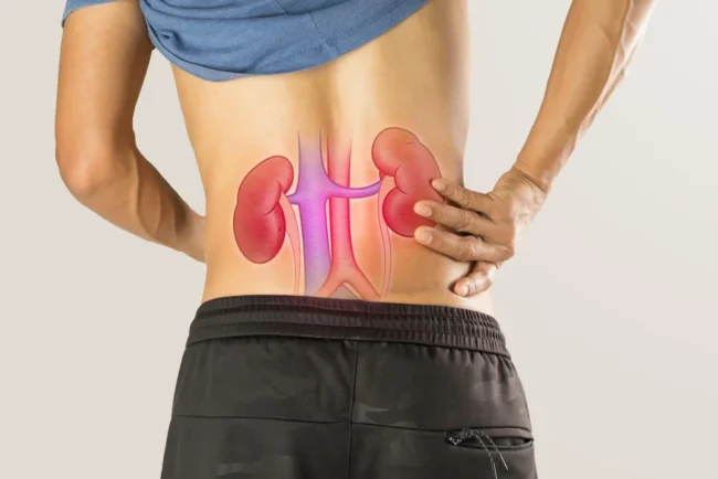 Função Renal