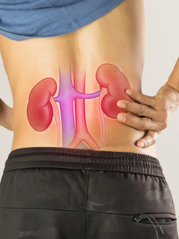 Função Renal